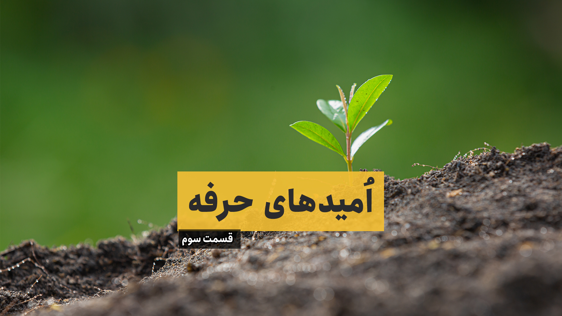 امیدهای حرفه – قسمت سوم